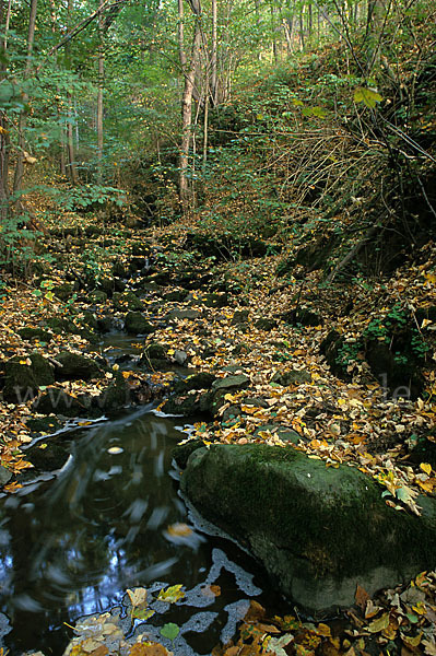 Thüringen (Thuringia)