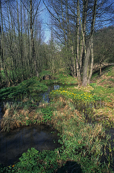 Thüringen (Thuringia)