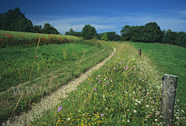 Thüringen (Thuringia)