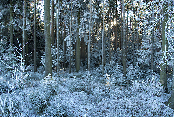 Thüringen (Thuringia)