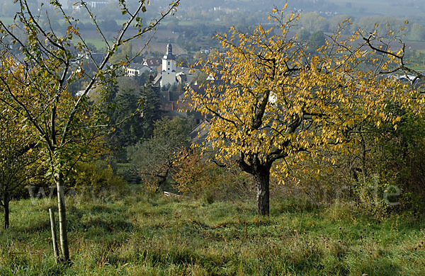 Thüringen (Thuringia)