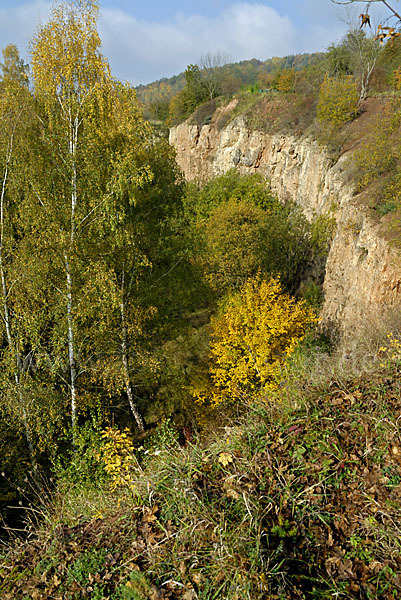 Thüringen (Thuringia)