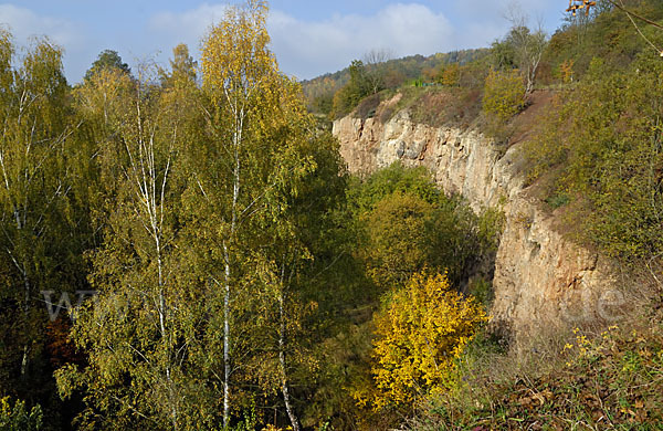 Thüringen (Thuringia)