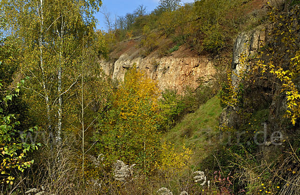 Thüringen (Thuringia)