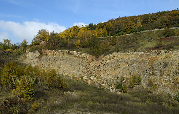 Thüringen (Thuringia)