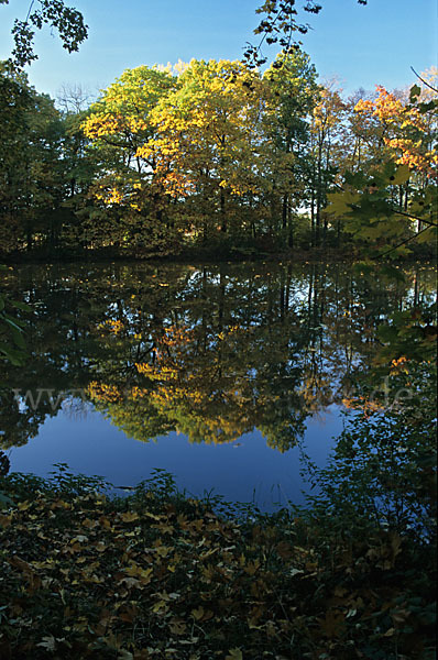 Thüringen (Thuringia)