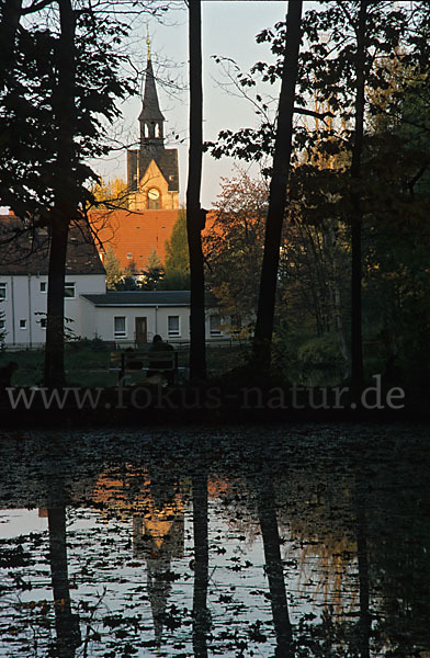 Thüringen (Thuringia)