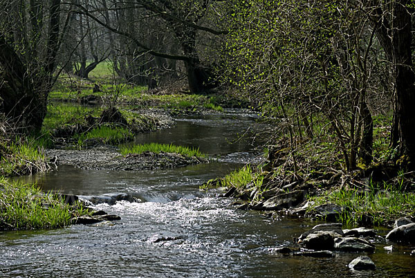 Thüringen (Thuringia)