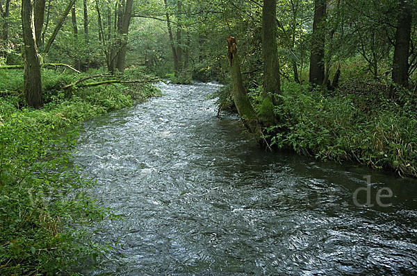 Thüringen (Thuringia)