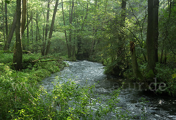 Thüringen (Thuringia)