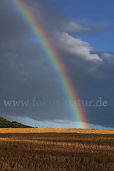 Thüringen (Thuringia)