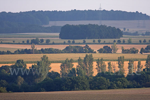 Thüringen (Thuringia)