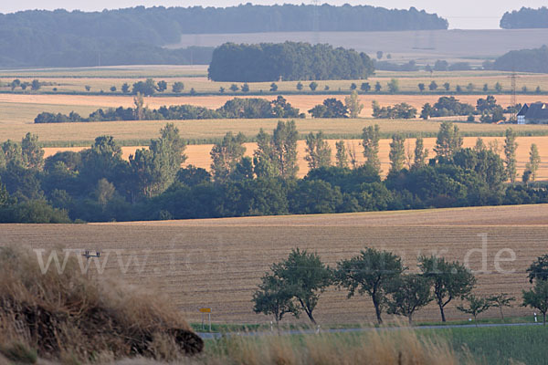 Thüringen (Thuringia)