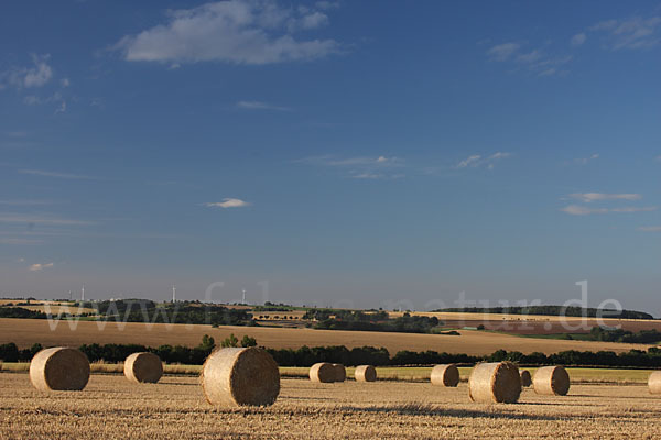 Thüringen (Thuringia)