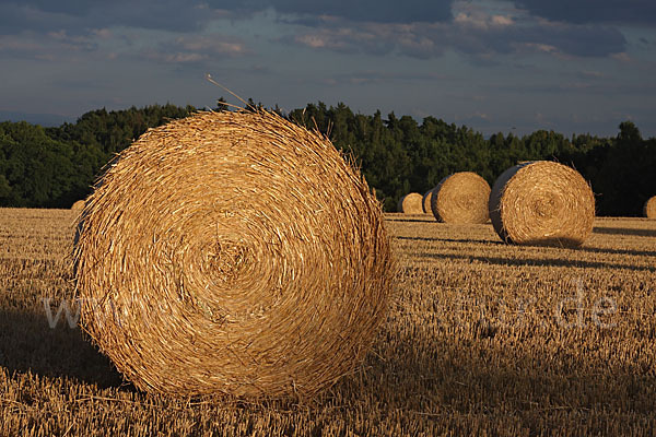 Thüringen (Thuringia)