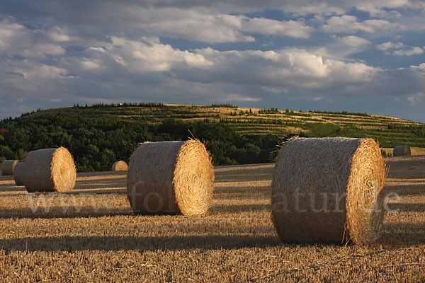 Thüringen (Thuringia)