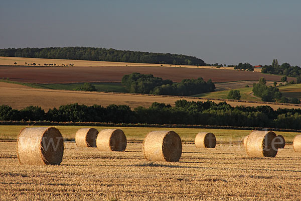 Thüringen (Thuringia)