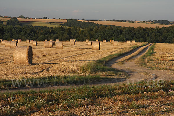 Thüringen (Thuringia)