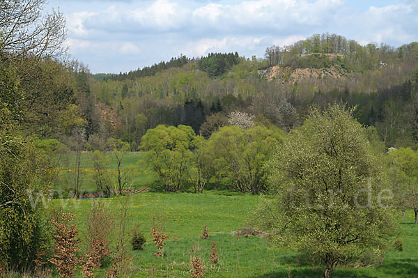 Thüringen (Thuringia)