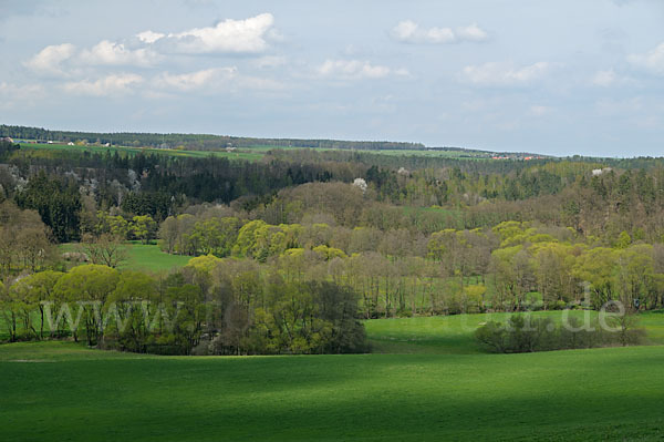 Thüringen (Thuringia)