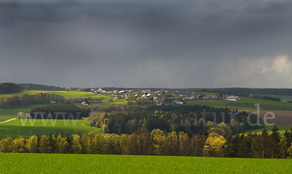 Thüringen (Thuringia)