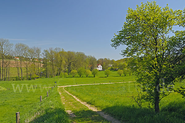 Thüringen (Thuringia)