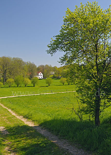 Thüringen (Thuringia)