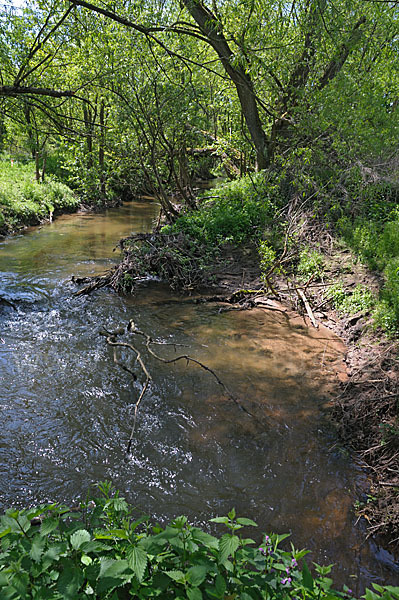 Thüringen (Thuringia)