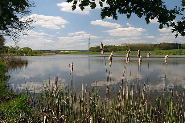 Thüringen (Thuringia)