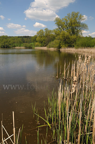 Thüringen (Thuringia)