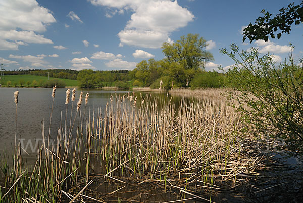 Thüringen (Thuringia)