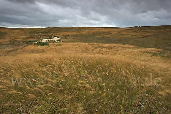 Thüringen (Thuringia)