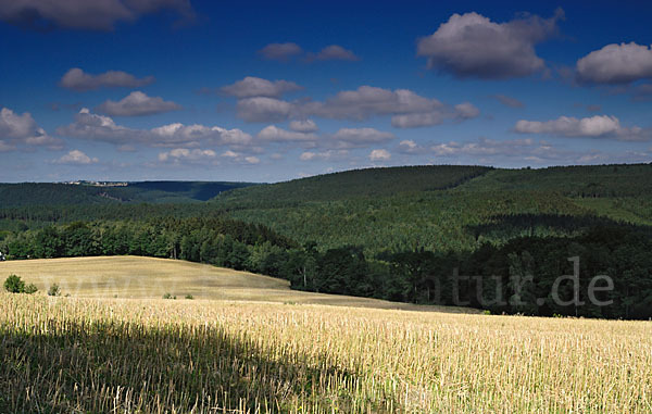 Thüringen (Thuringia)