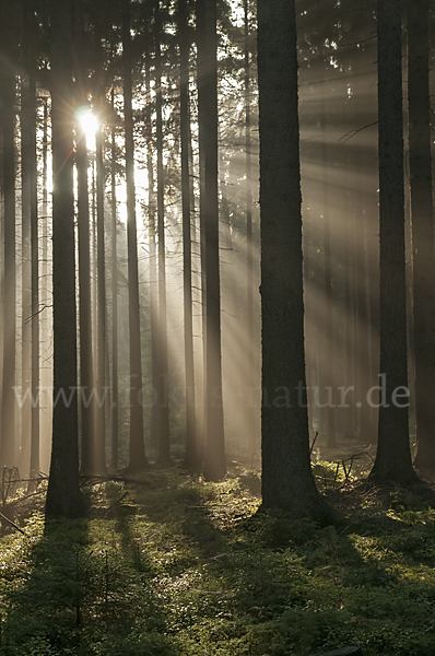 Thüringen (Thuringia)