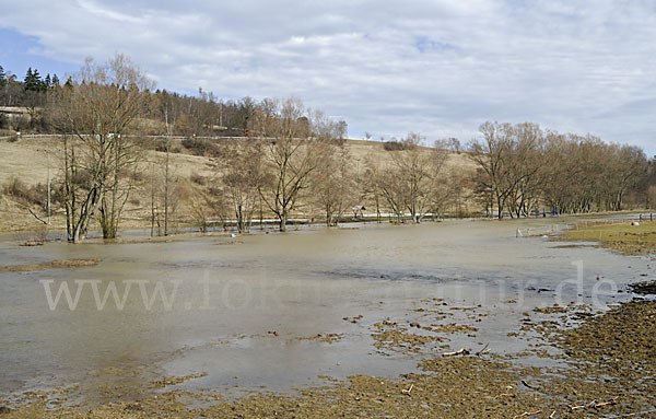 Thüringen (Thuringia)