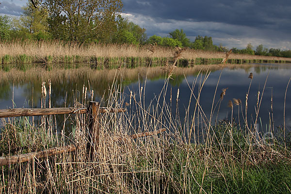 Thüringen (Thuringia)