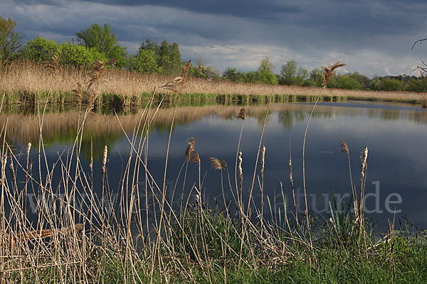 Thüringen (Thuringia)