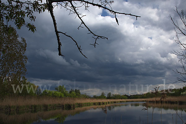 Thüringen (Thuringia)