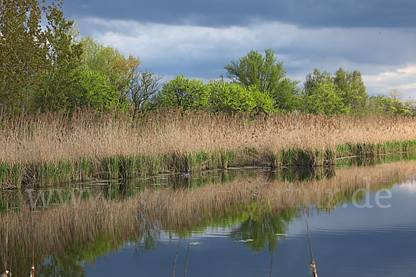 Thüringen (Thuringia)