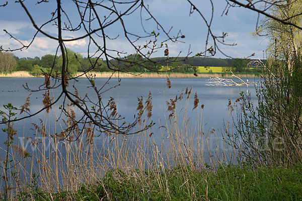 Thüringen (Thuringia)