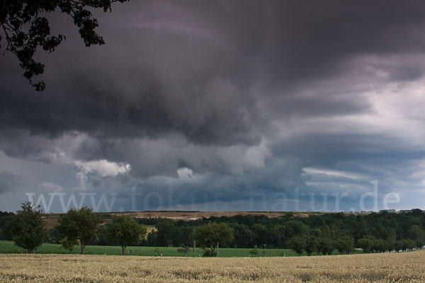 Thüringen (Thuringia)