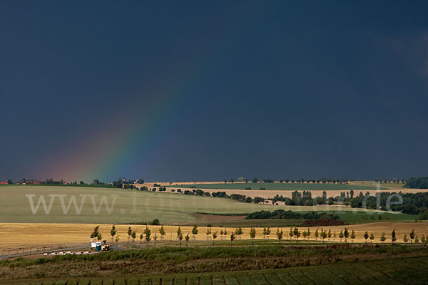 Thüringen (Thuringia)