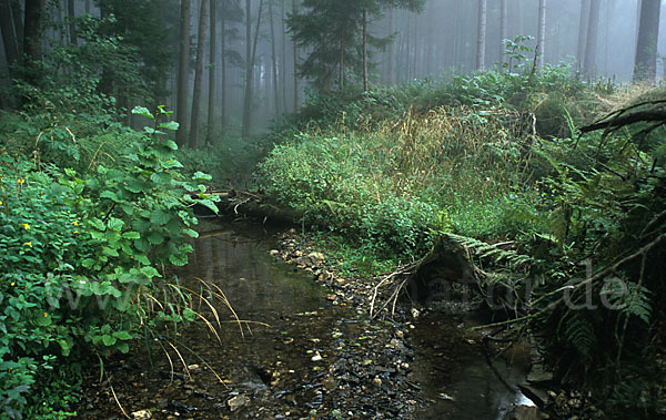 Thüringen (Thuringia)