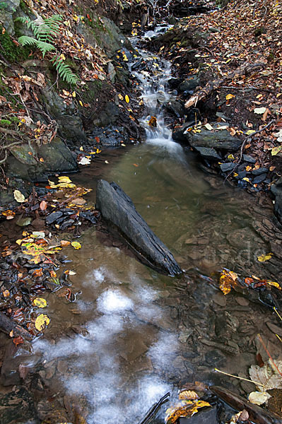 Thüringen (Thuringia)