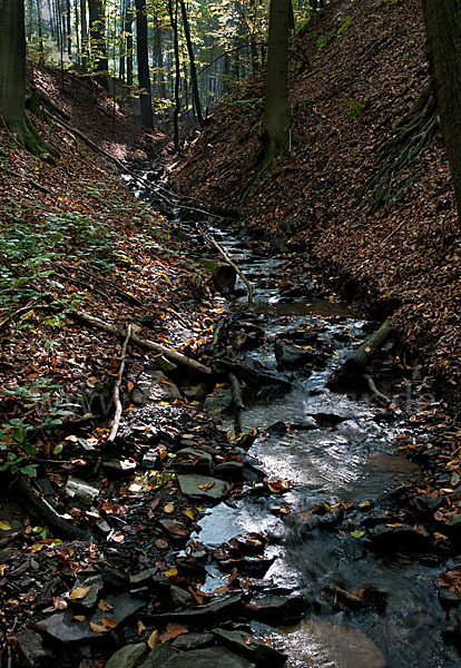 Thüringen (Thuringia)