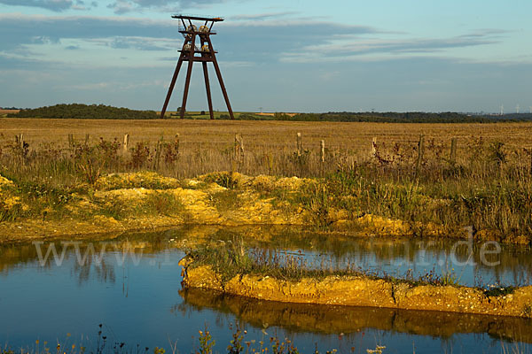 Thüringen (Thuringia)