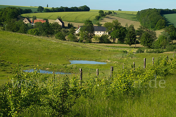 Thüringen (Thuringia)