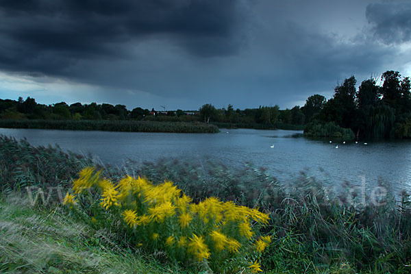 Thüringen (Thuringia)