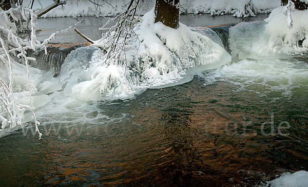 Thüringen (Thuringia)