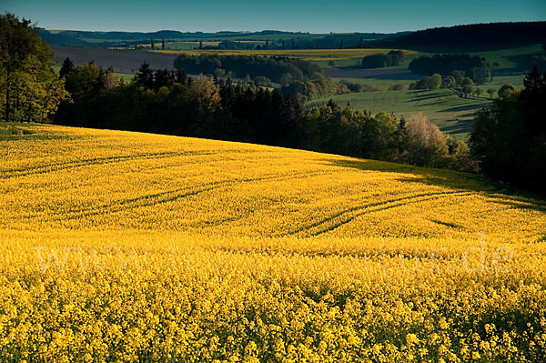 Thüringen (Thuringia)